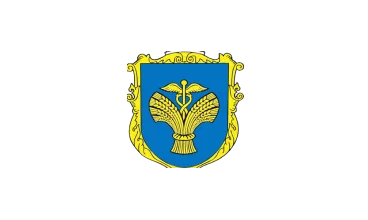 Baltic City Council | Кейс | soft Xpansion