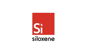 Siloxene | Case Study | soft Xpansion