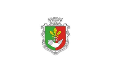 Kryvyi Rih City Council | Case Study | soft Xpansion
