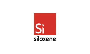 Siloxene
